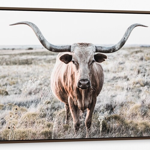Longhorn Cow Canvas Texas Longhorn Art Longhorn Canvas Print Etsy