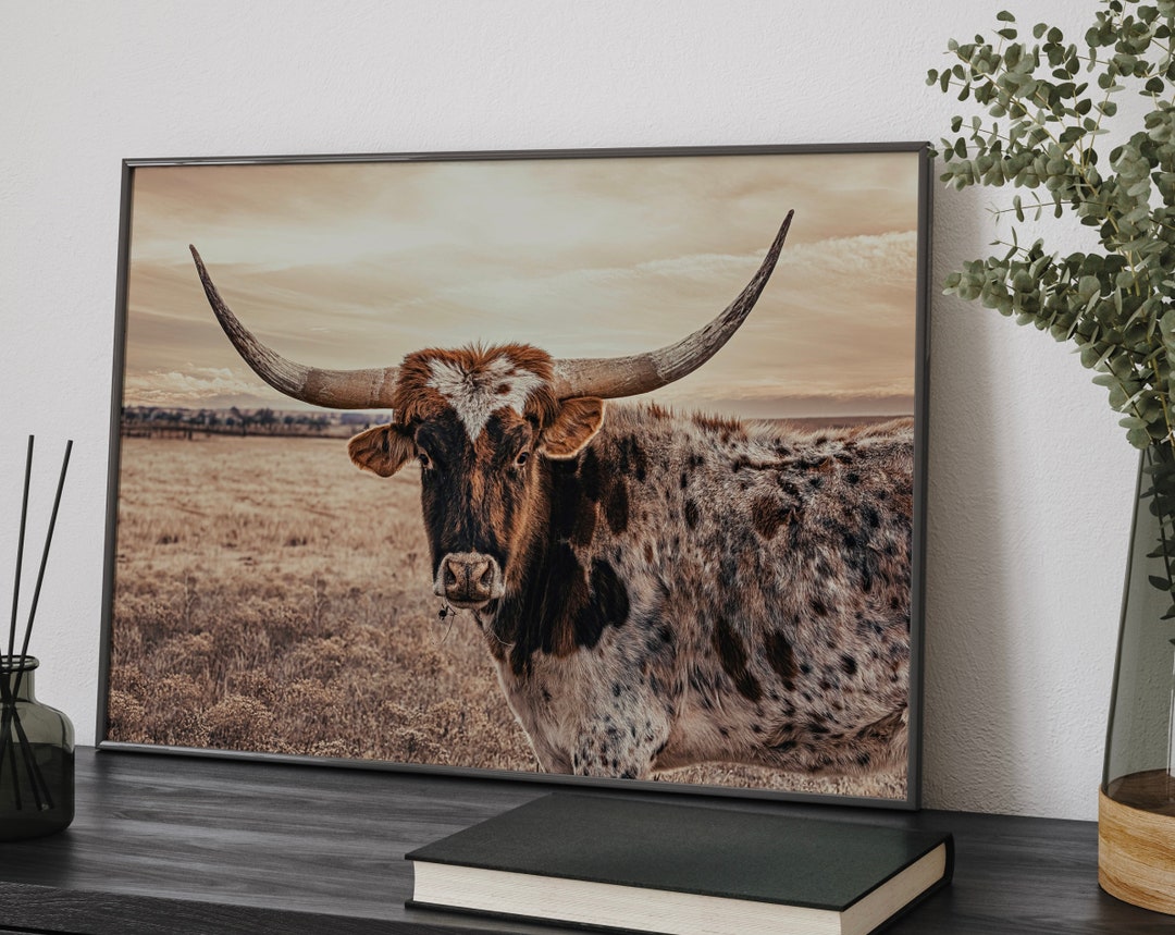 Longhorn Canvas Print, Longhorn Photo Print. Large Texas Longhorn