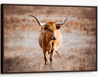 Cattle wall art, Texas Longhorn canvas wall art, western wall decor, cow photography print, cowboy wall art for ranch living room or office