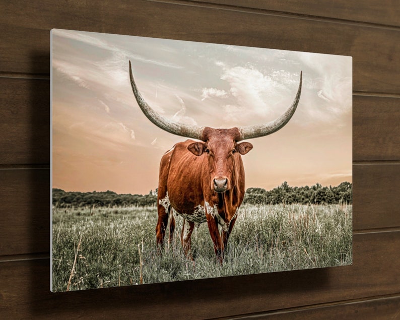 Texas Longhorn Wall Art Longhorn Canvas Print. Western Decor Etsy