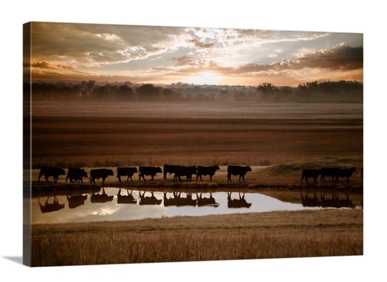 Upgrade Your 'Cattle' (Style 1) Canvas To 24x48 Inches