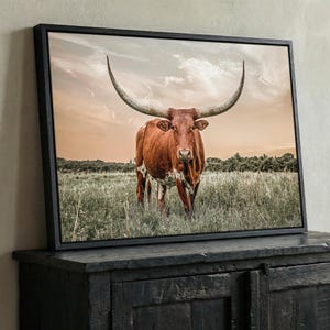 Longhorn Wall Art - Southwest Decor Canvas Print - Western Home Design - Large Southwestern Picture - Cow Canvas Art Float Frame