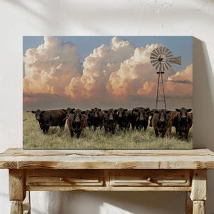 Angus Cows and Vintage Windmill Canvas Art - Rustic Farm Wall Art with Storm Clouds - Country and Western Decor for Home and Office