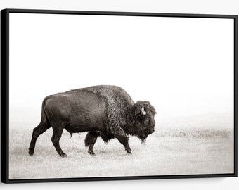 Bison wall art for minimalist decor, sepia buffalo canvas print, American bison metal print, modern western art, minimal style buffalo photo
