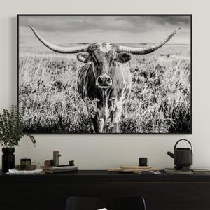 Large Longhorn Cow Canvas - Black and White Longhorn Wall Art - Modern Western Decor Office Wall Art - Texas Longhorn Photo Print Framed