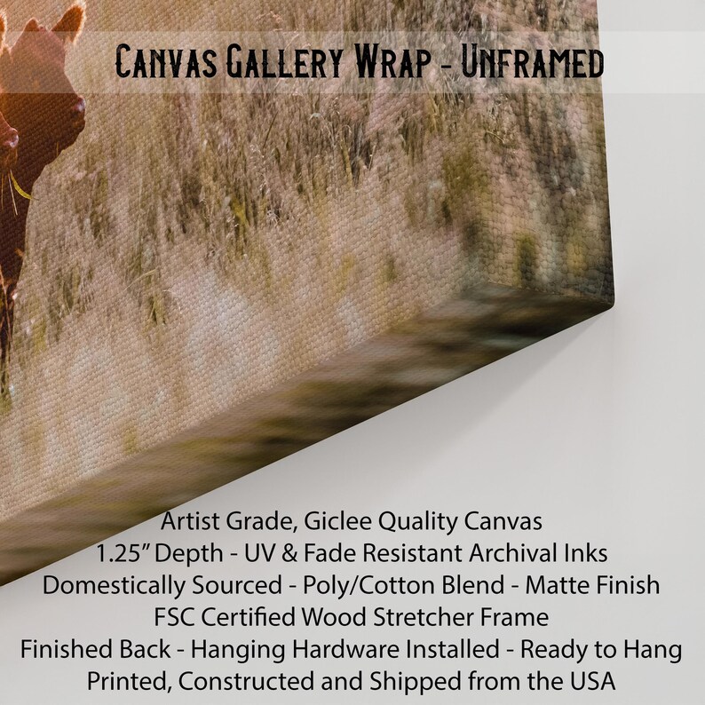 Pode incluir: Tela de galeria sem moldura, com uma cena de paisagem. A tela tem uma profundidade de 3,18 cm e &eacute; feita com tintas de arquivo e uma mistura de poli&eacute;ster/algod&atilde;o. A tela est&aacute; pronta para pendurar e &eacute; impressa e constru&iacute;da nos EUA.