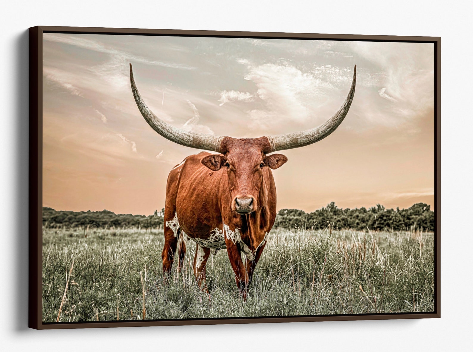 Texas Longhorn Wall Art Longhorn Canvas Print. Western Decor Etsy