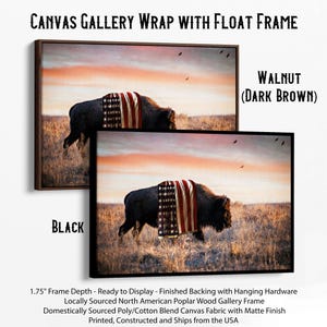 a picture of a bison with a blanket on it
