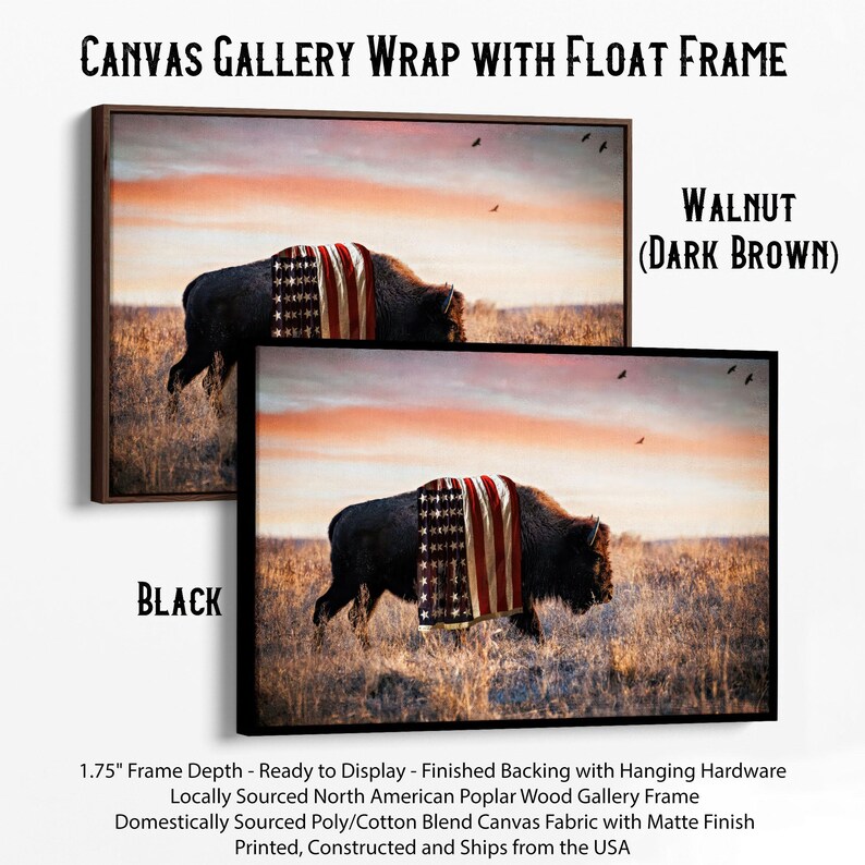 a picture of a bison with a blanket on it