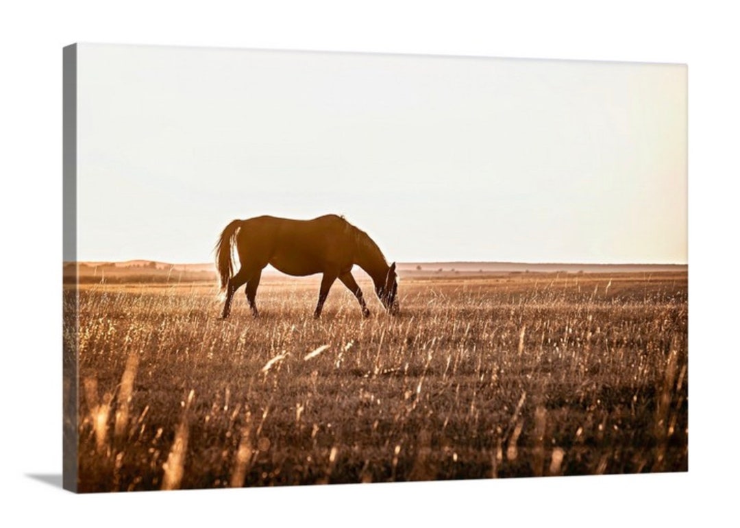 Large Horse Wall Art Framed Horse Art Oversized Western Etsy