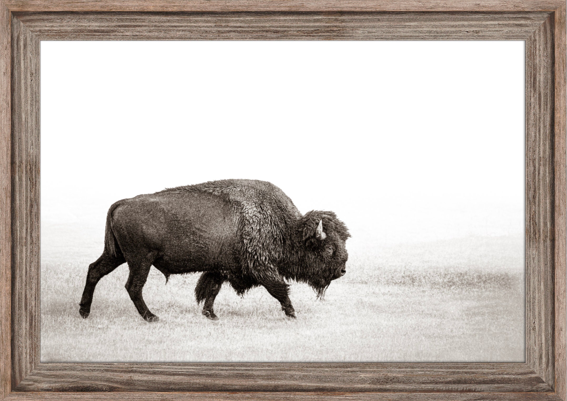 Bison wall art large minimalist wall art buffalo canvas Etsy