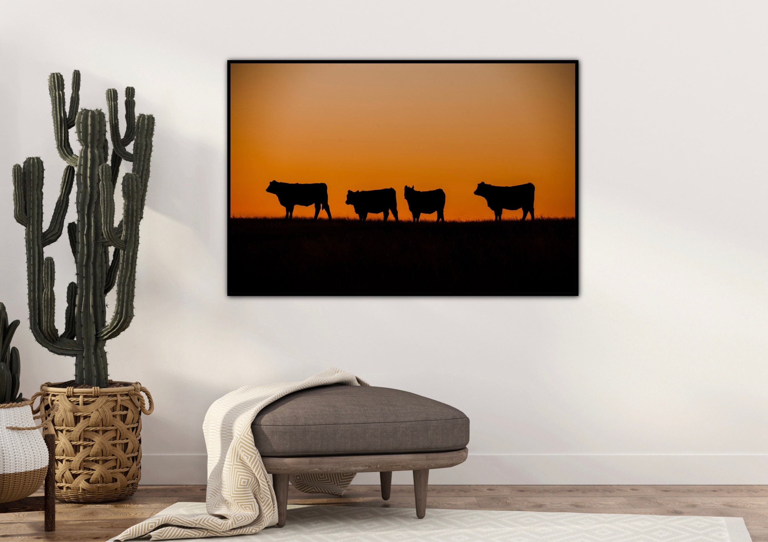 Black Angus art print on canvas cattle at sunset photo print