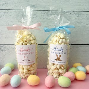 Bunny Birthday Popcorn Bags & Ribbon - Personalized Easter Birthday Party Favors // Food NOT Included