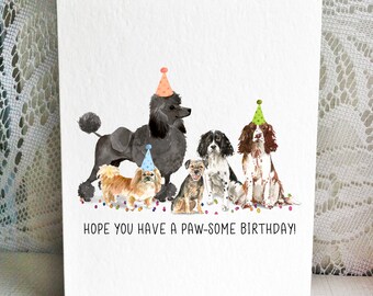 Border Terrier Etsy