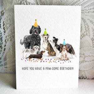 Carte d'anniversaire pour chien, Labradoodle, Shih tzu, teckel, chien léopard Catahoula, Border Collie - Cocker Anglais