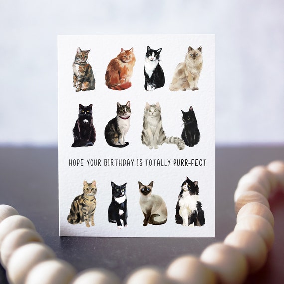 cat birthday card cat card kitty birthday card card for etsy