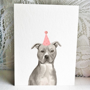 Pitbull card, grey american staffordshire terrier, dog card