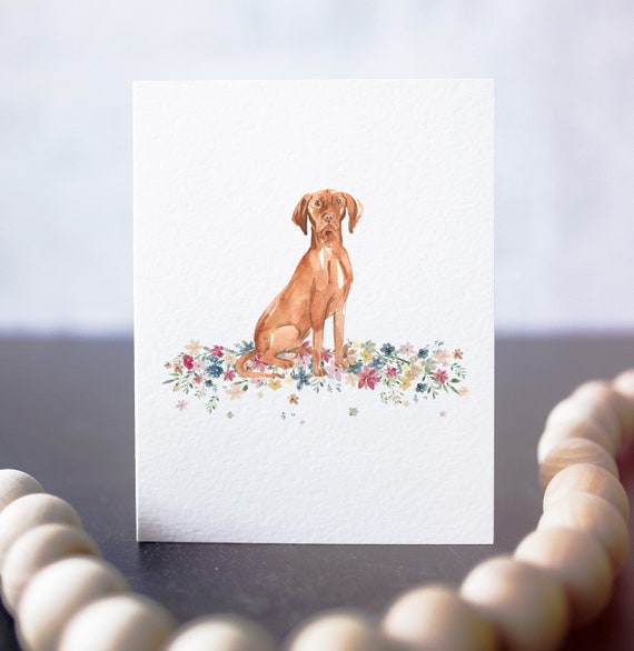 Vizsla tarjeta de saludos