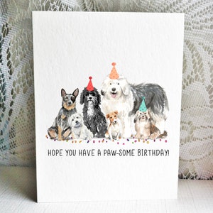 Tarjeta de cumpleaños para perros, perro pastor australiano/blue heeler, maltés, perro de agua portugués, antiguo perro pastor inglés, Jack Russell - Bichón habanero