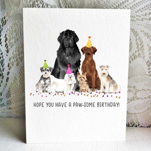 Carte d’anniversaire pour chien, Schnauzer miniature, Maltais, Chien de Terre-Neuve, Yorkie, Chocolate Lab - Lakeland Terrier - Carte de vœux - Carte chien