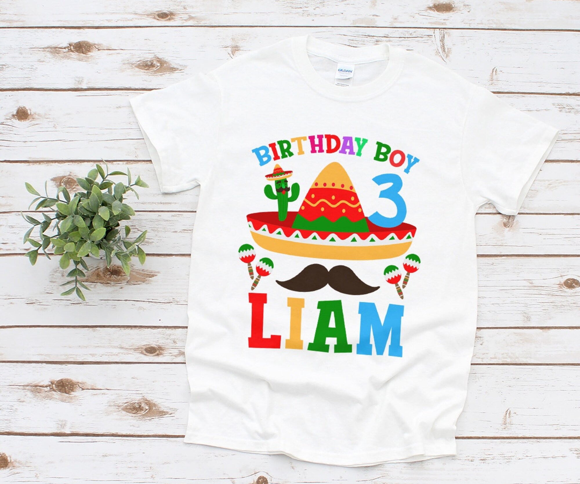 Birthday boy shirt, Fiesta Birthday shirt, Taco Party shirt, Sombrero Birthday shirt, Mexican Birthday shirt, white tee Birthday shirt,