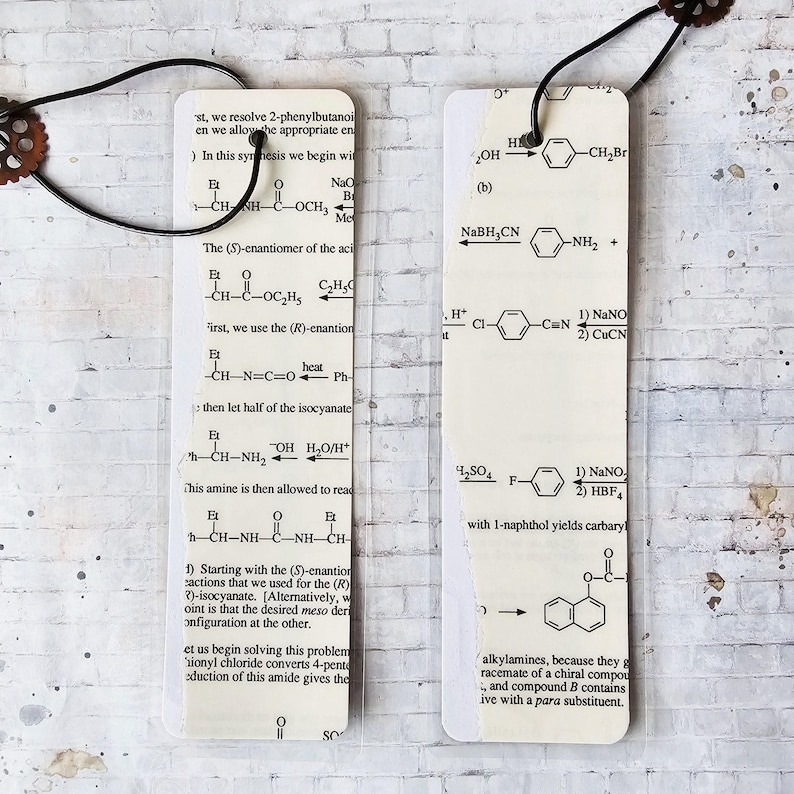 Chemistry Equation Bookmark: Science Lover Gift - Etsy
