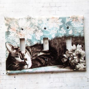 Pode incluir: Tampa decorativa tripla para interruptor de luz com um gato malhado dormindo. A tampa tem um padrão floral em tons de azul e rosa. O gato é marrom e preto com detalhes brancos, e há flores brancas à direita.