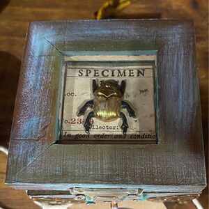 Fantazyjne ręcznie malowane pudełko „SPECIMEN, Little Things”! Pudełko na biżuterię / pudełko na pamiątki / pudełko na kryształy / pudełko na ciekawostki