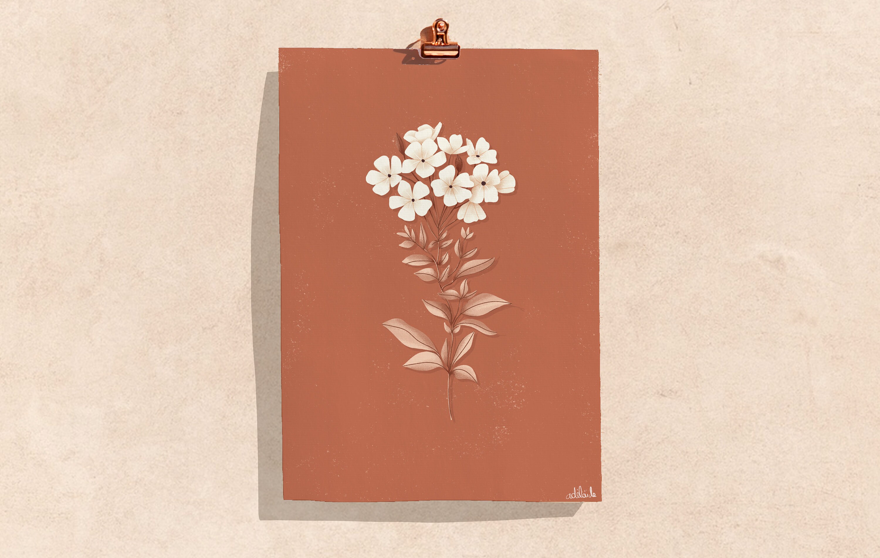 Affiche Illustration Végétale - 4