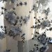 Grey Beaded Lace Fabric Sequined 3D Chiffon Flower Embroidery Lace Mesh Pearl Details for Dance Costume Prom Dress 53 inches 0.5 Meter