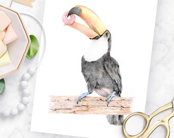 50 OFF Toucan Art Print Bird Tropical Sam Drawing Froot Loops Fruit Foodie Illustration Exotic 50 OFF Toucan Art Print Bird Tropical Sam Drawing Froot Loops Fruit Foodie Illustration Exotic