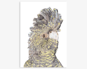 Abigail the Back Cockatoo | Australian Bird Art Print