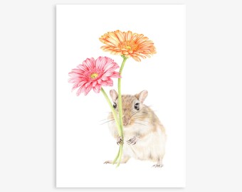 Gerald the Gerbil | Cute animals, Gerbera Flowers, Pencil Drawing, Giclee Print