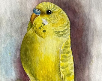 Pretty Budgie - Original Watercolour Painting Bird Budgerigar
