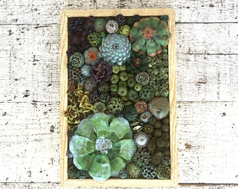 Succulent Garden Vertical Succulent Garden Pine Cone Succulents Faux Succulents Pine Cone Art