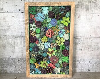 succulent garden etsy