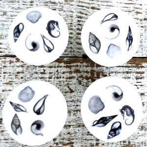 Peut inclure: Quatre sous-verres en c&eacute;ramique blanche avec des illustrations noires et blanches de coquillages et d'hippocampes. Les sous-verres sont ronds et ont une finition brillante.