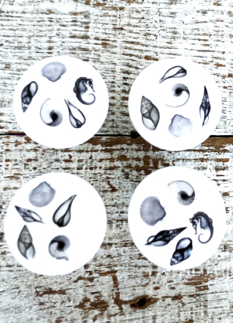 Peut inclure: Quatre sous-verres en c&eacute;ramique blanche avec des illustrations noires et blanches de coquillages et d'hippocampes. Les sous-verres sont ronds et ont une finition brillante.