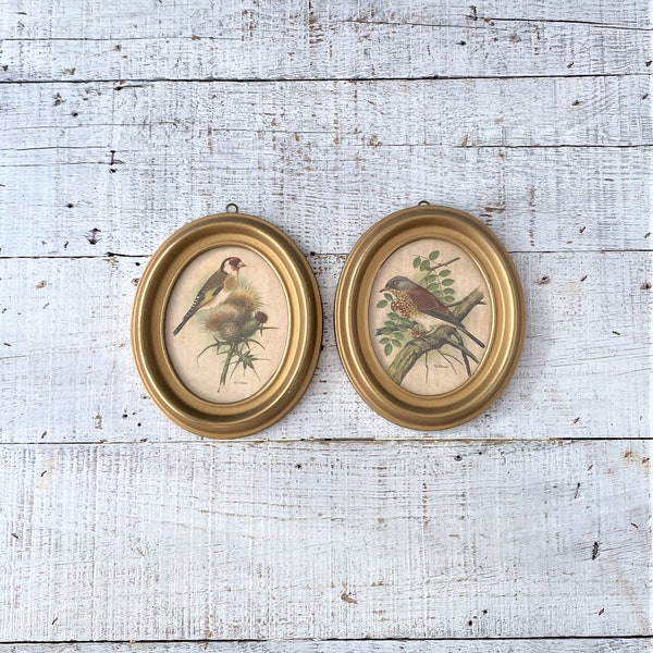 Wall Art 2 Small Gold Frame Bird Wall Art Antique Bird Wall Hangings Ornate Gold Frame French Country Art  Small Grouping of Frames