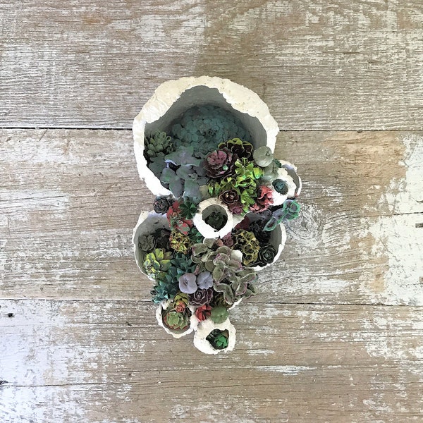 Succulent Garden Vertical Succulent Garden Pine Cone Succulent Faux Succulents Barnacle Succulent Garden Nautical Seashell Succulent Garden