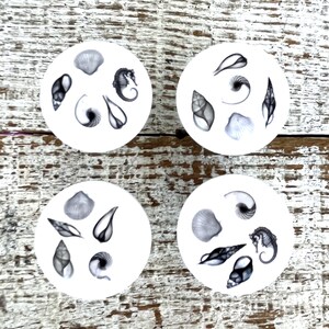 Peut inclure: Quatre sous-verres en c&eacute;ramique blanche avec des illustrations en noir et blanc de coquillages et d'hippocampes. Les sous-verres sont dispos&eacute;s en carr&eacute; sur une surface en bois blanchi.
