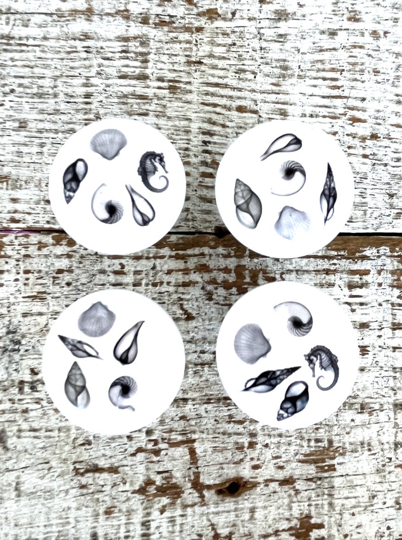 Peut inclure: Quatre sous-verres en c&eacute;ramique blanche avec des illustrations en noir et blanc de coquillages et d'hippocampes. Les sous-verres sont dispos&eacute;s en carr&eacute; sur une surface en bois blanchi.