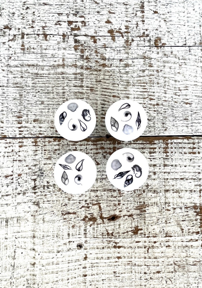 Peut inclure: Quatre sous-verres ronds blancs avec des illustrations noires et blanches de coquillages et d'hippocampes. Les sous-verres sont pos&eacute;s sur une surface en bois blanchi.