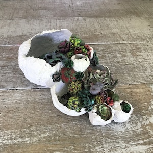Succulent Garden Vertical Succulent Garden Pine Cone Succulent Faux Succulents Barnacle Succulent Garden Nautical Seashell Succulent Garden