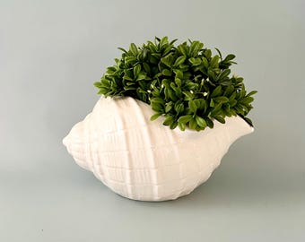 Ceramic Seashell Planter