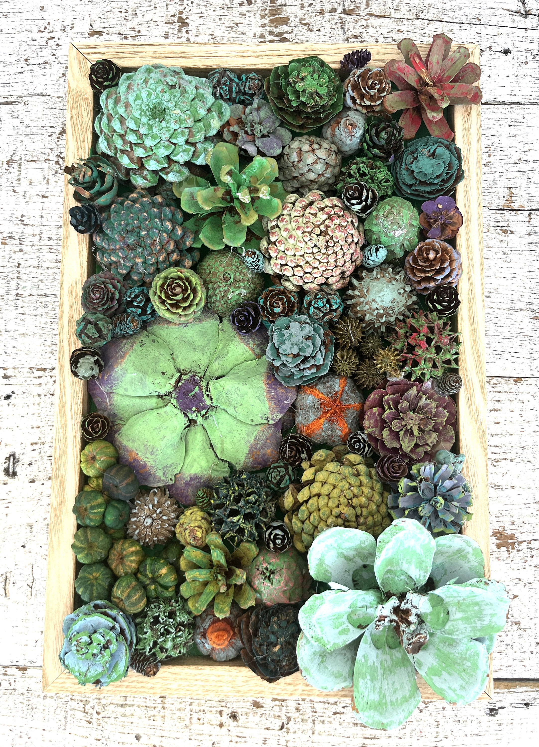 Pine Cone Succulent Garden Art: Rustic Wood Framed Faux Succulents  display picture 1