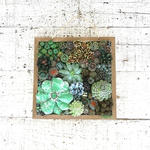 Succulent Garden Pinecone Art Succulent Garden Pine Cone Succulents Faux Succulents Pine Cone Art