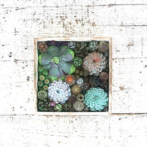 Succulent Garden Vertical Succulent Garden Pine Cone Succulents Faux Succulents Pine Cone Art