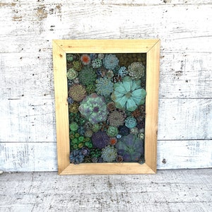 Succulent Garden Vertical Succulent Garden Pine Cone Succulents Faux Succulents Pine Cone Art