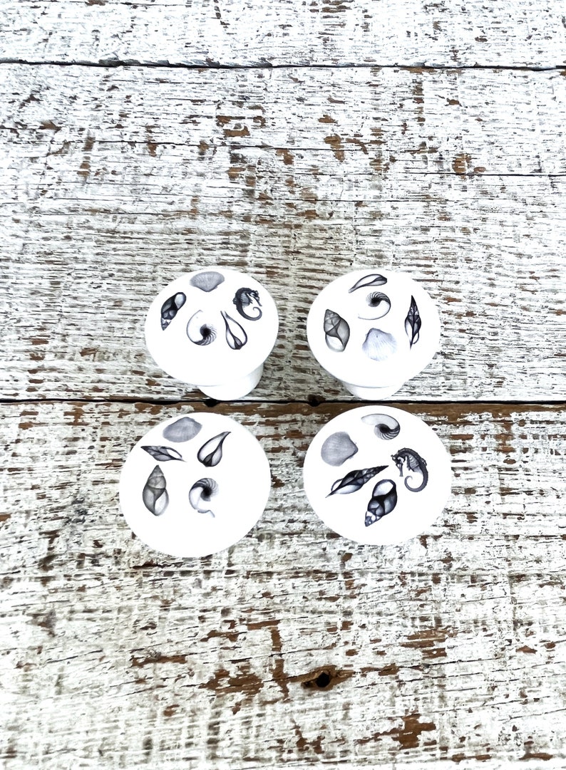 Peut inclure: Quatre sous-verres ronds en c&eacute;ramique blanche avec des illustrations en noir et blanc de coquillages, d'hippocampes et d'algues.